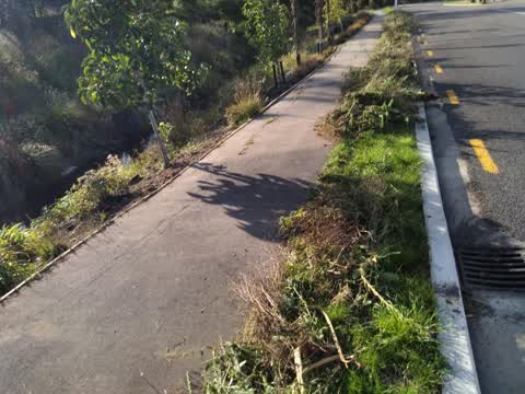 Roading/Streets, a report photo