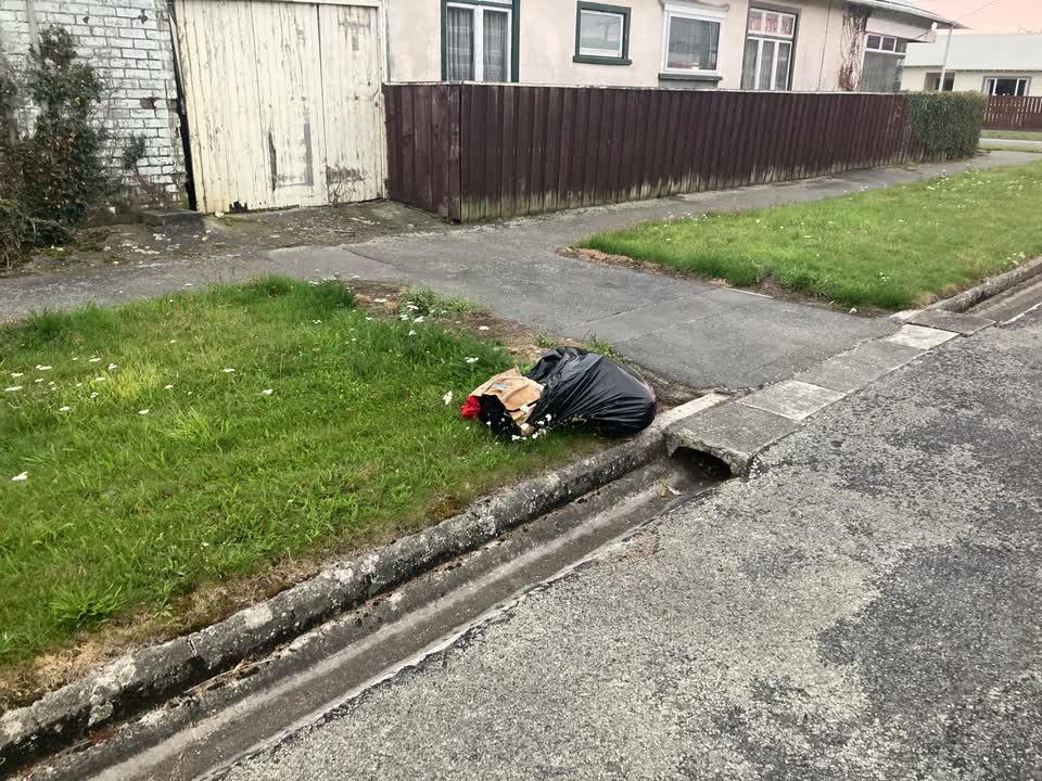 The photograph attached to this rubbish/recycling report