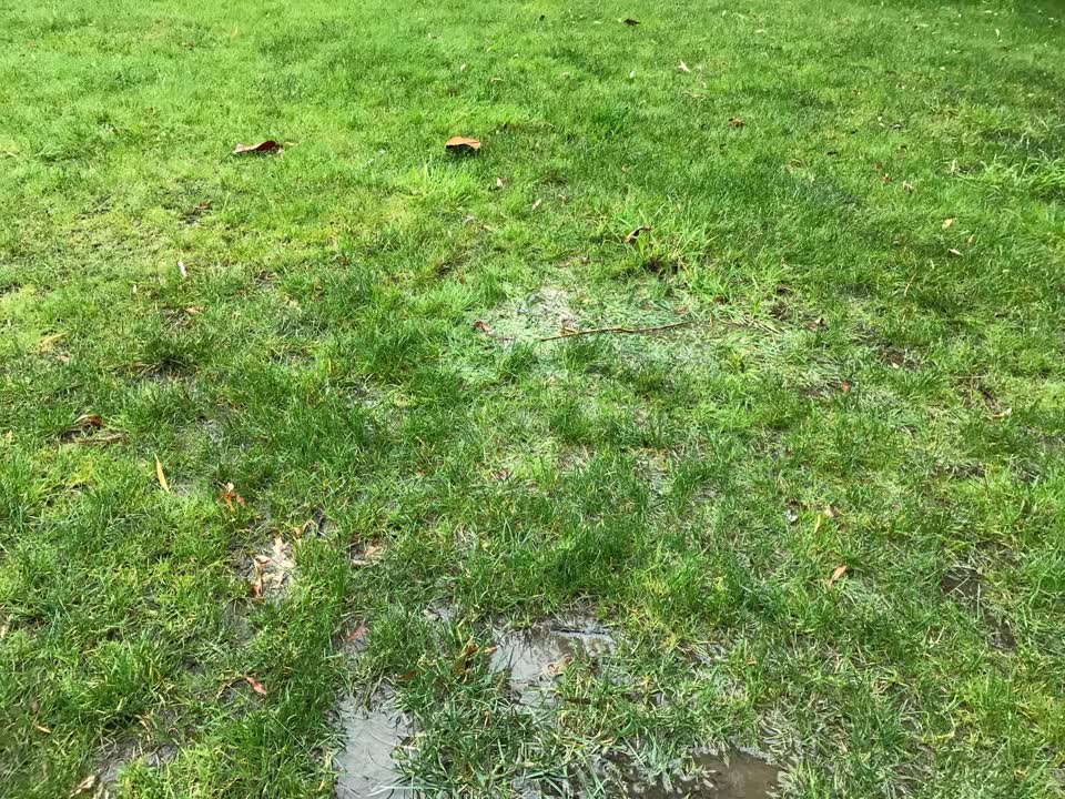 The photograph attached to this water leak report