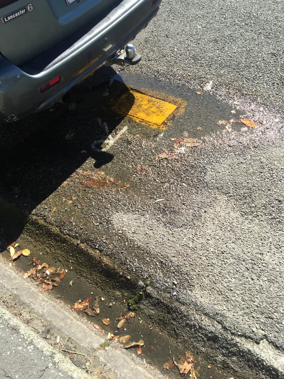 The photograph attached to this water supply report