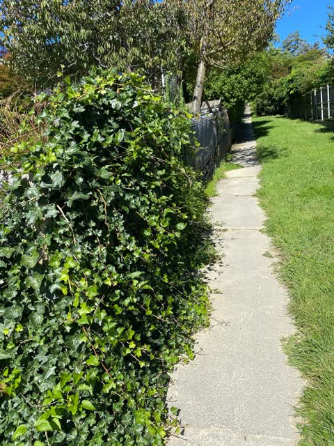 Roading/Streets, a report photo