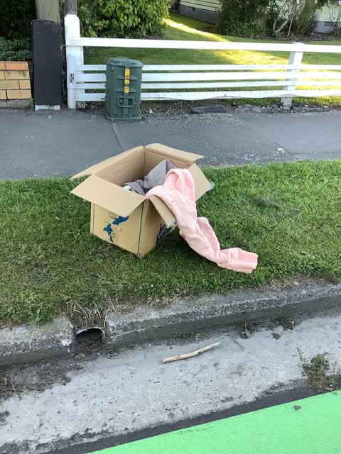 Rubbish/Recycling, a report photo