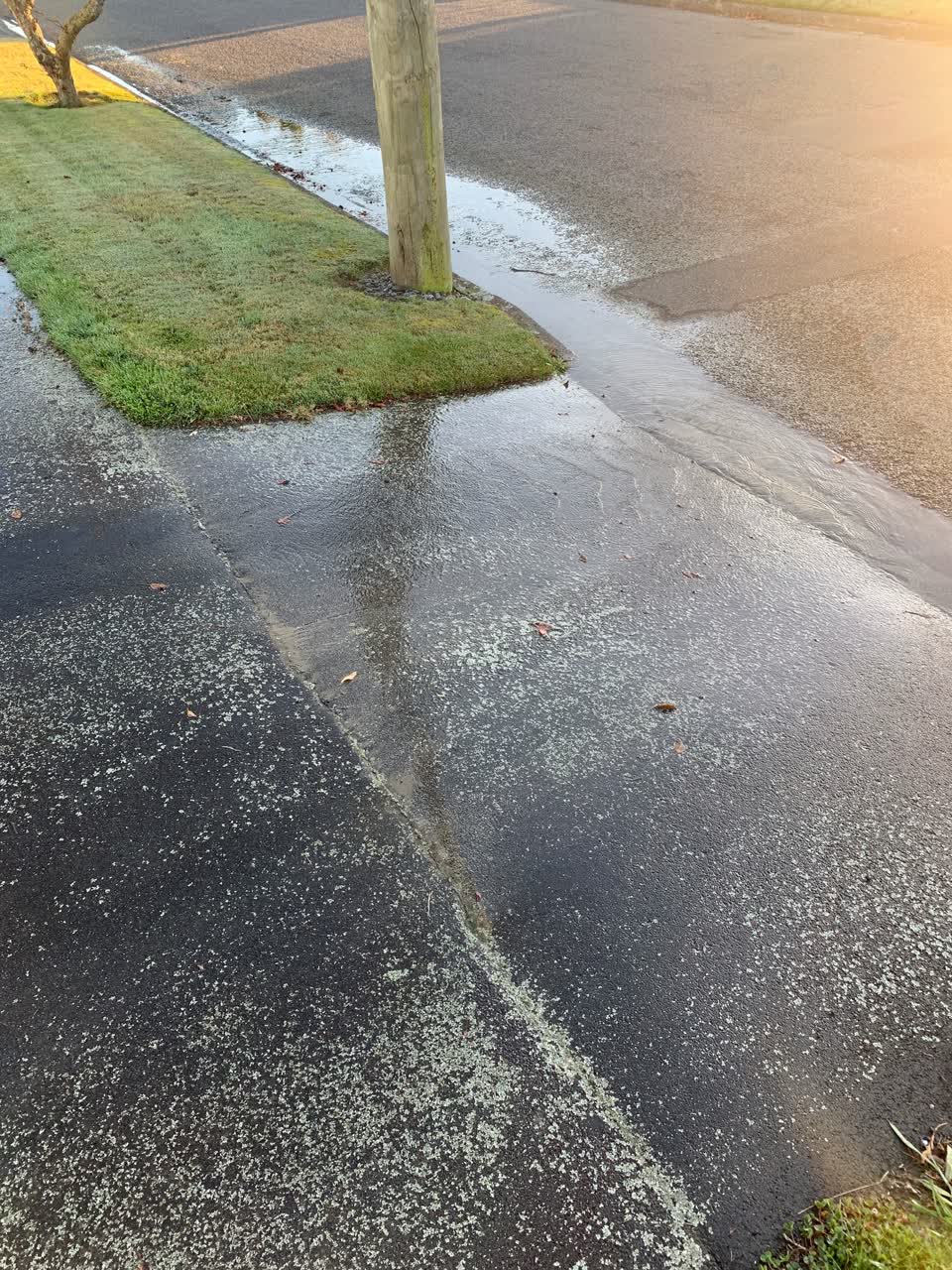 The photograph attached to this water leak report