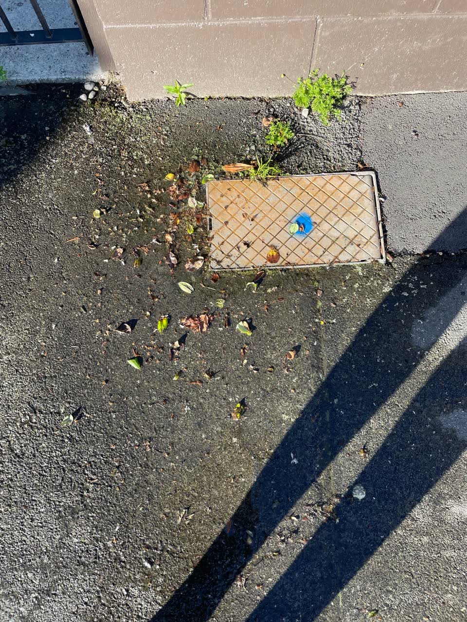 The photograph attached to this water leak report