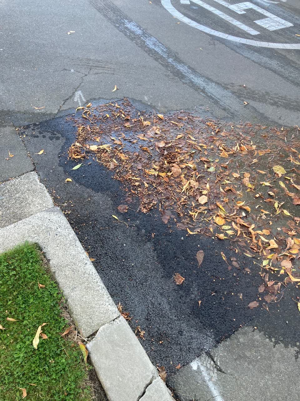 The photograph attached to this wastewater/stormwater report