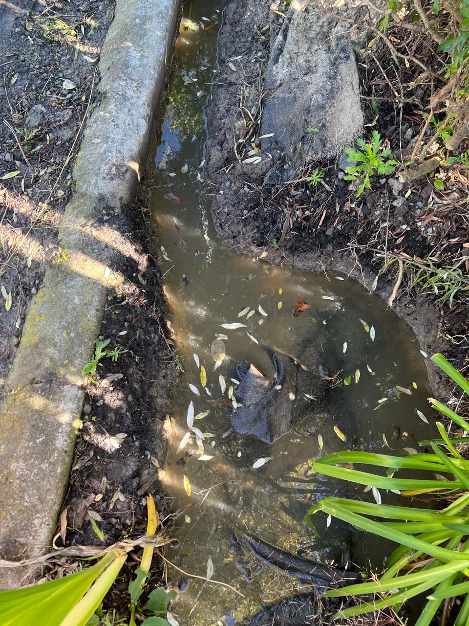 The photograph attached to this water leak report