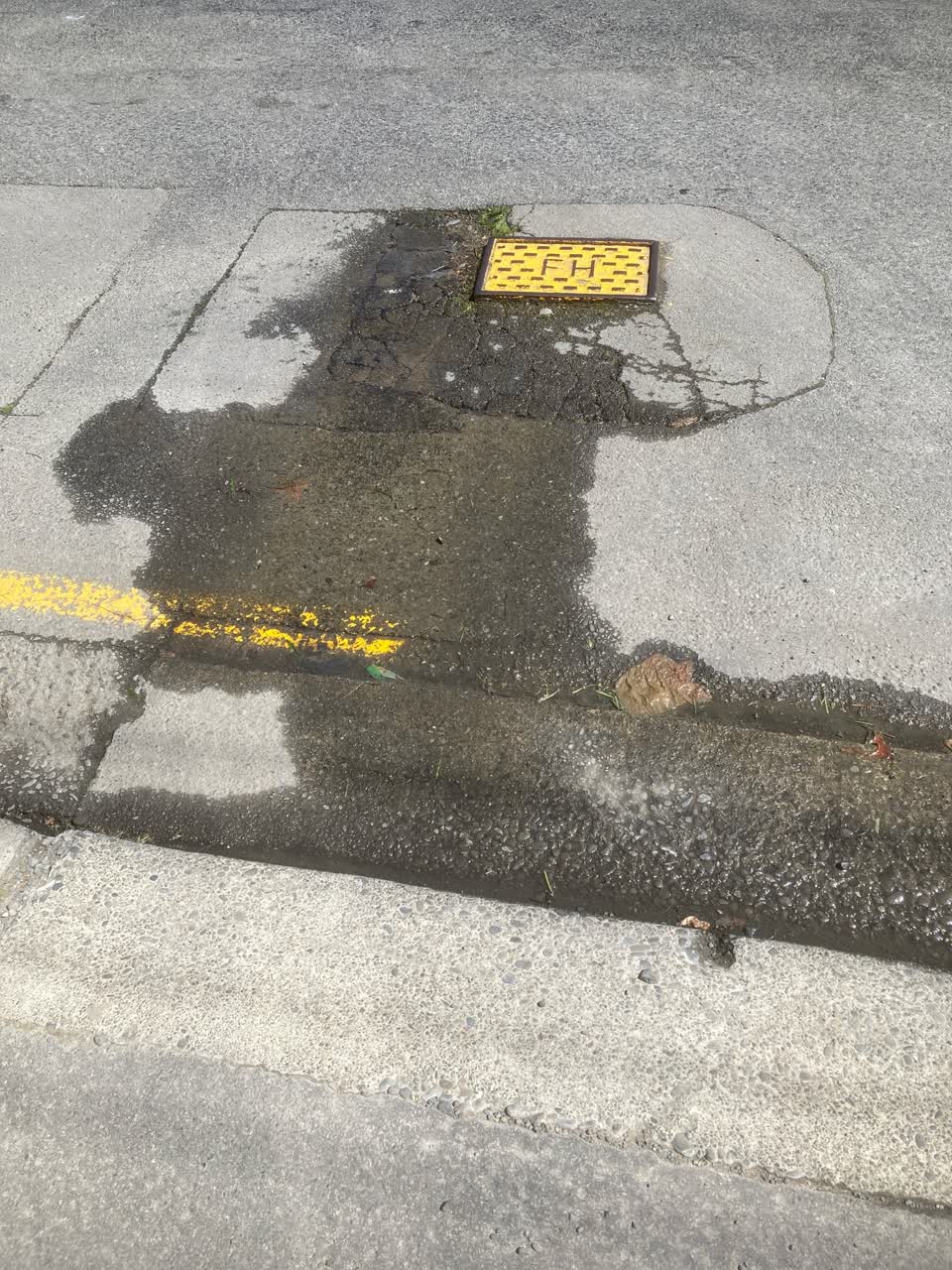 The photograph attached to this water leak report