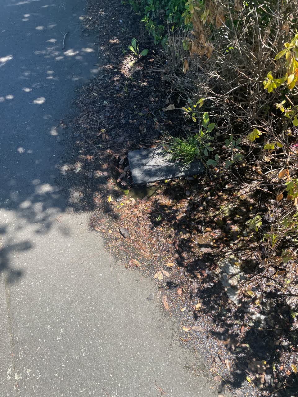 The photograph attached to this water leak report