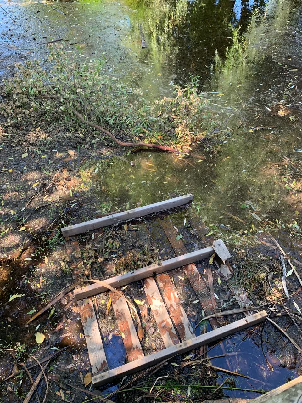 The photograph attached to this parks report