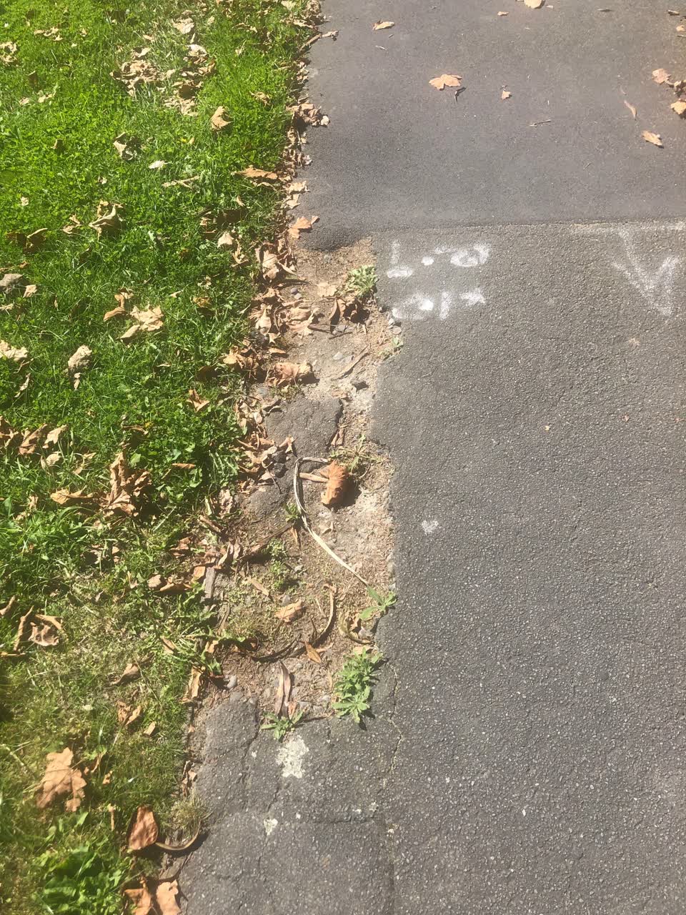 The photograph attached to this roading/streets report