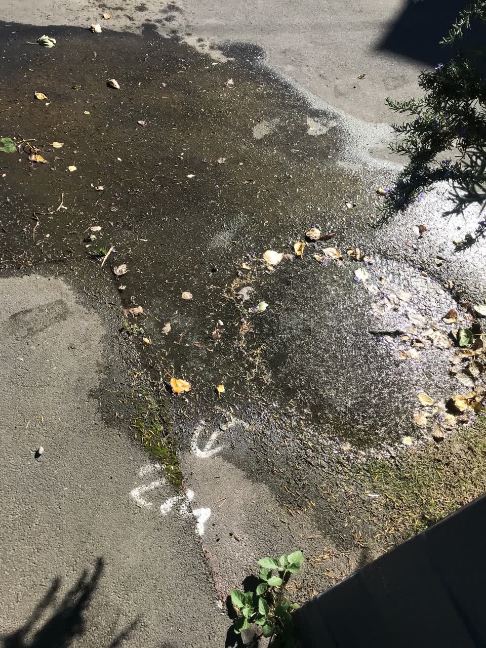 The photograph attached to this wastewater/stormwater report