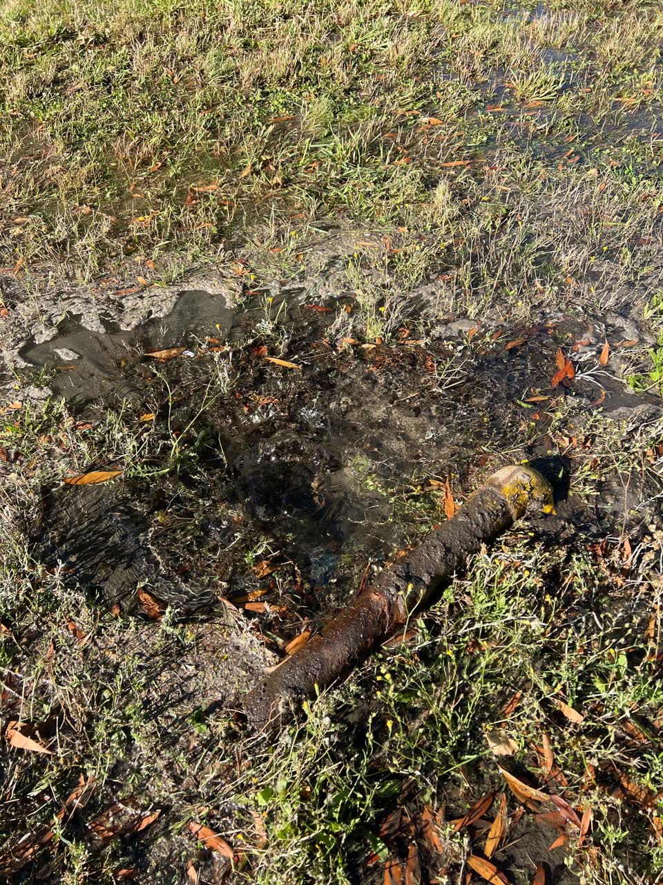 The photograph attached to this water leak report