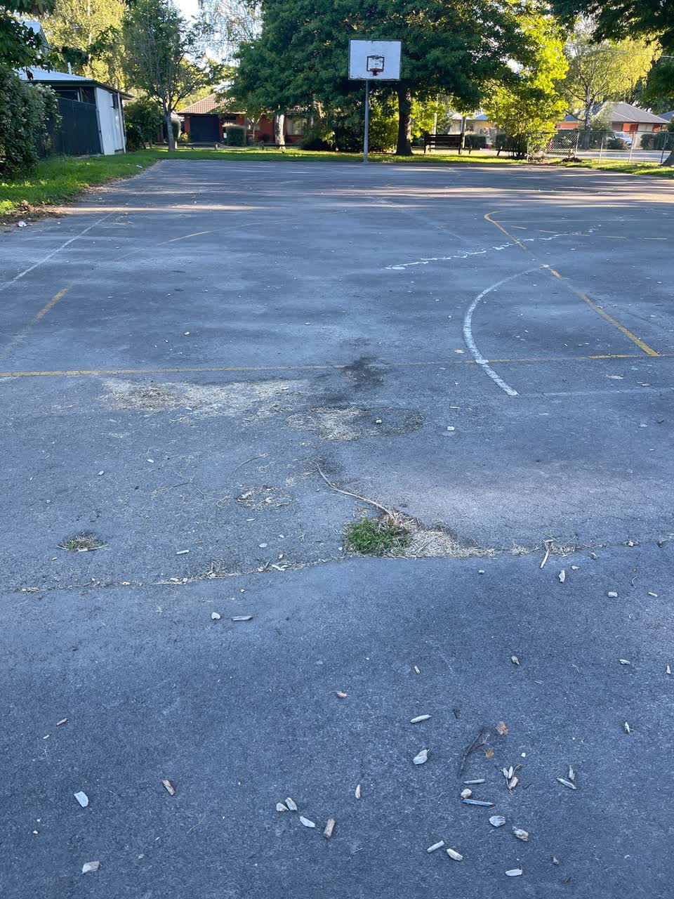 The photograph attached to this parks report