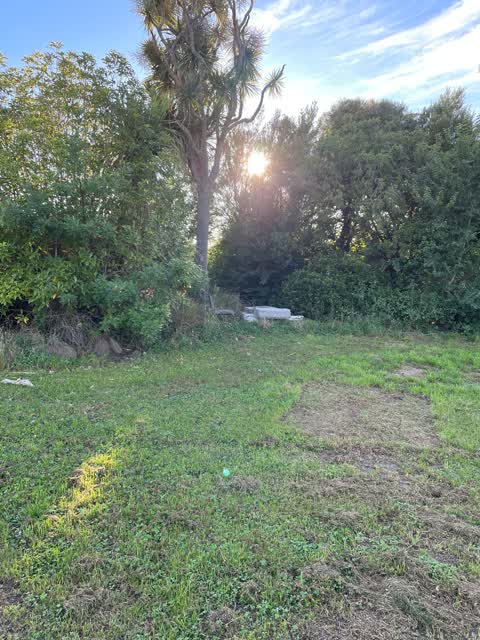 Rubbish/Recycling, a report photo