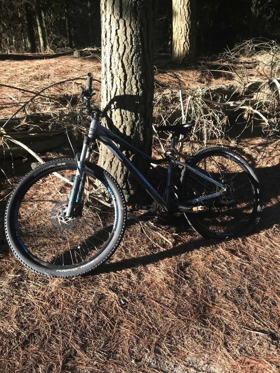The photograph attached to this parks report