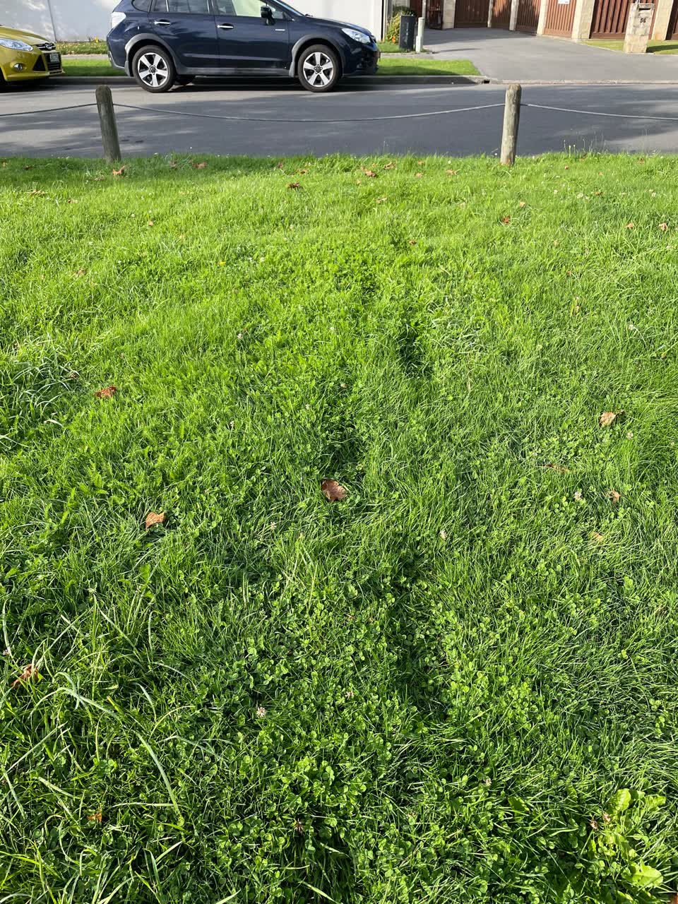 The photograph attached to this parks report