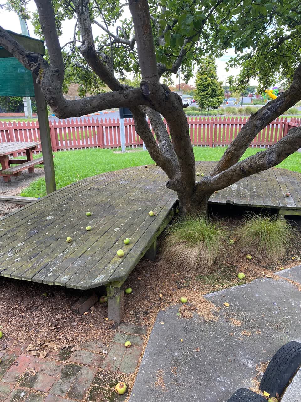 The photograph attached to this parks report