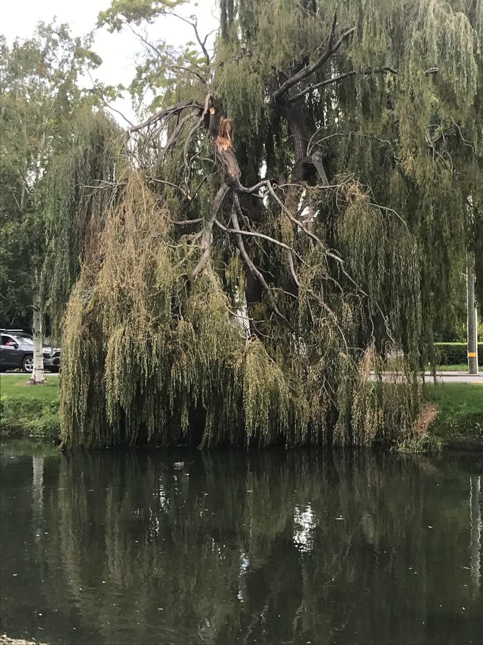 The photograph attached to this parks report
