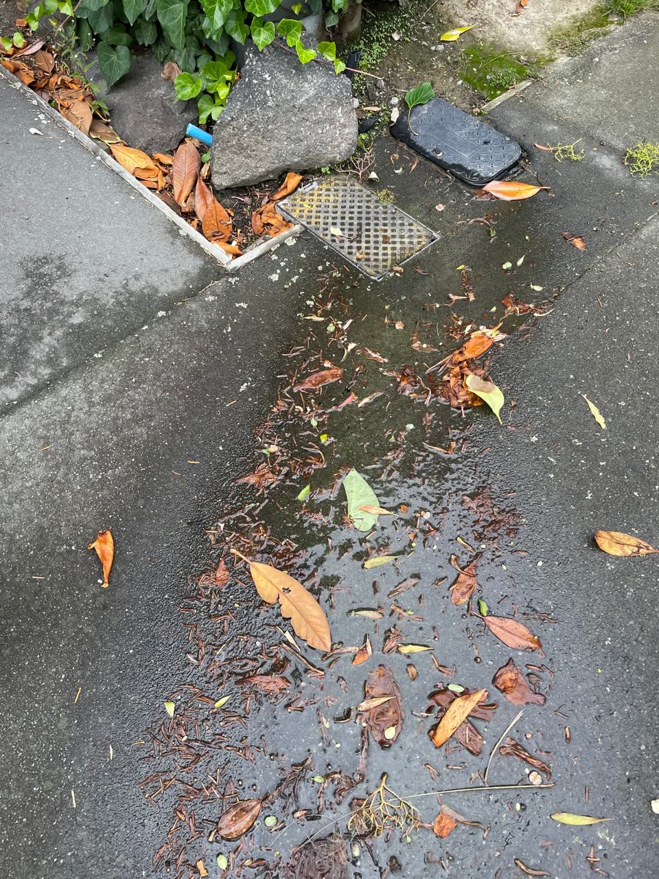 The photograph attached to this water leak report