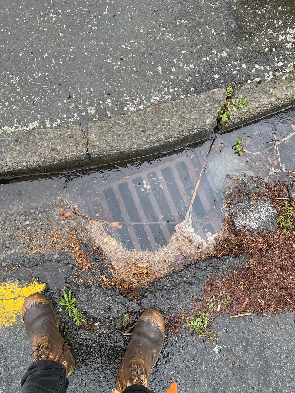 The photograph attached to this flooding report