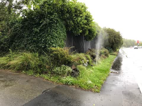 Water Leak, a report photo