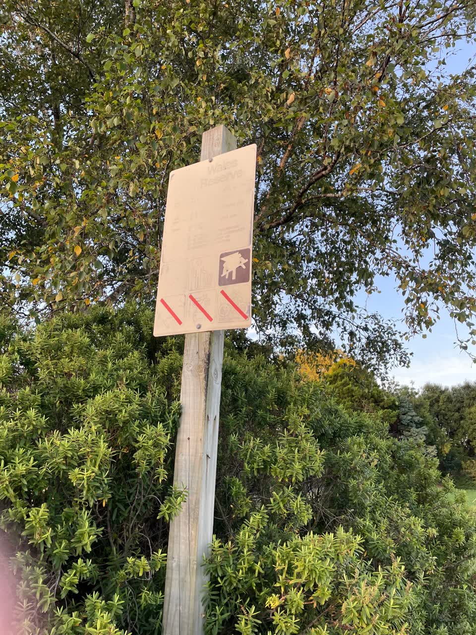 The photograph attached to this parks report