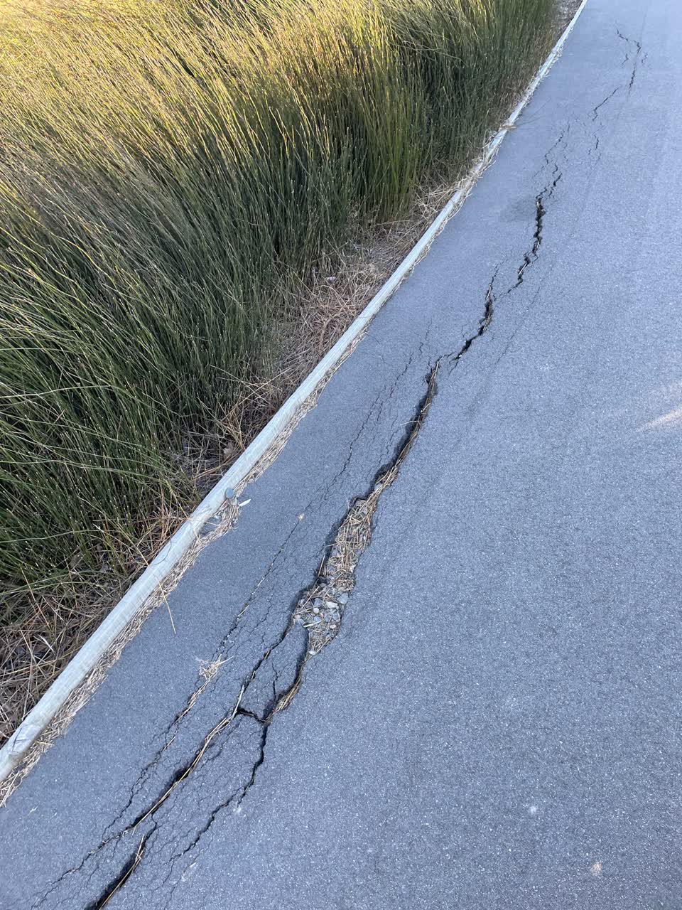 The photograph attached to this roading/streets report