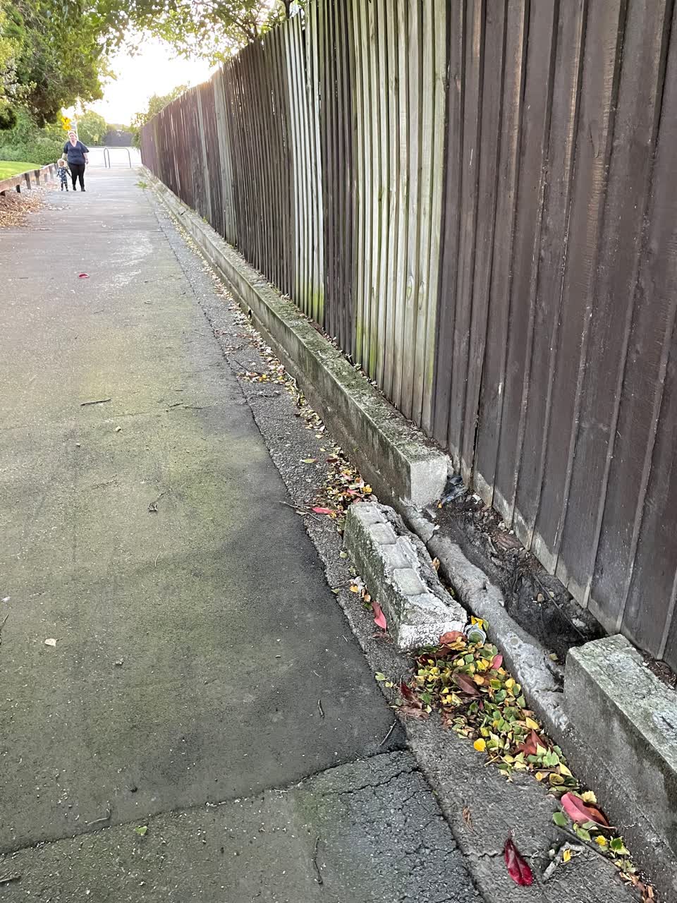The photograph attached to this parks report