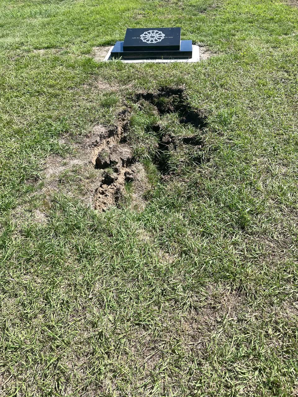 The photograph attached to this parks report