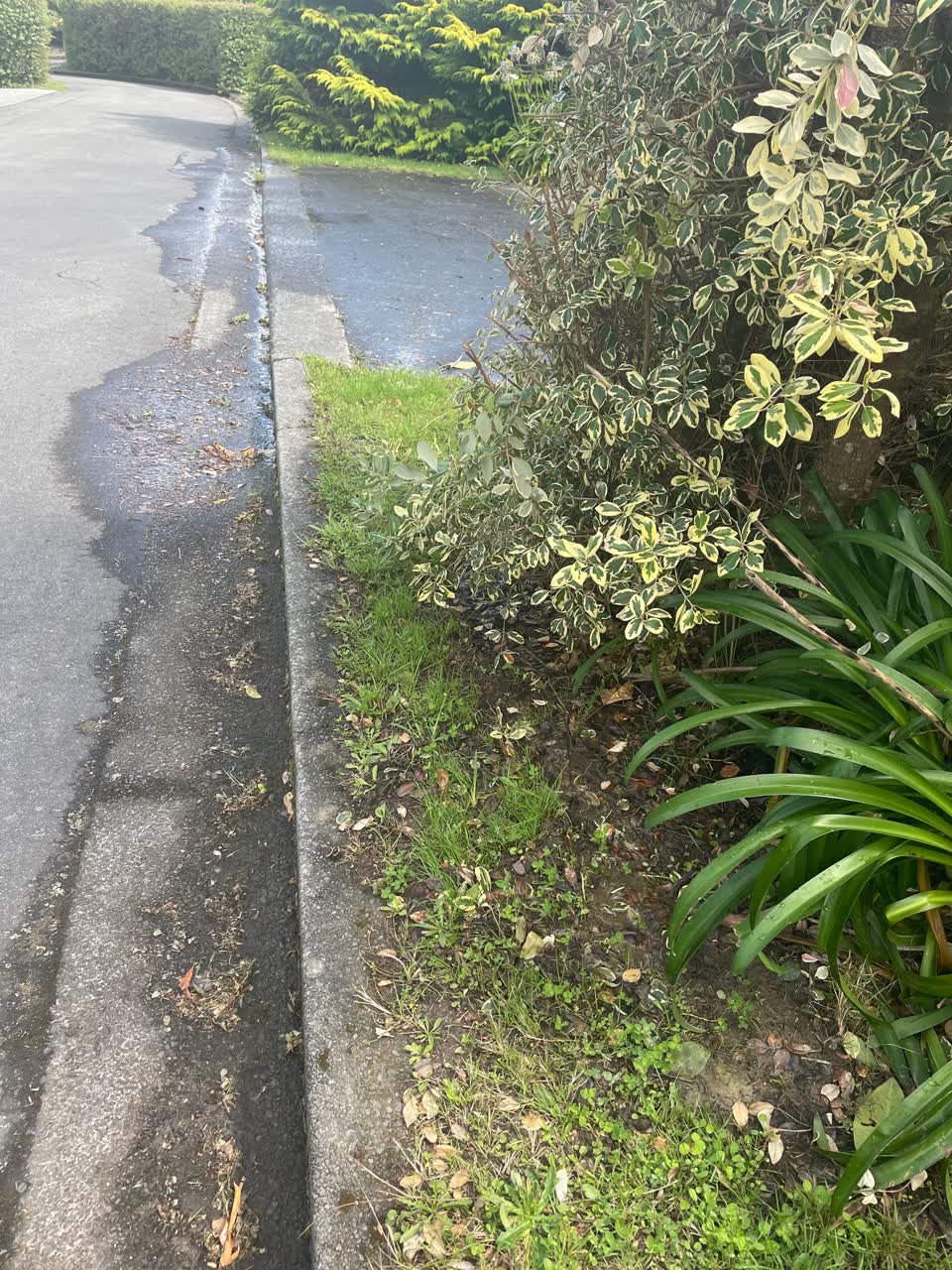 The photograph attached to this water leak report
