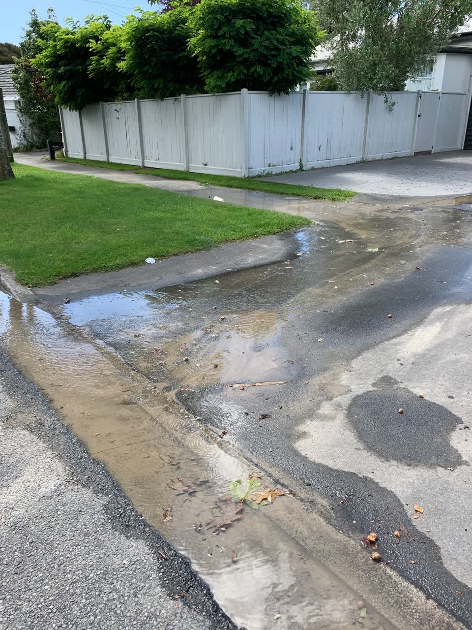 The photograph attached to this water leak report