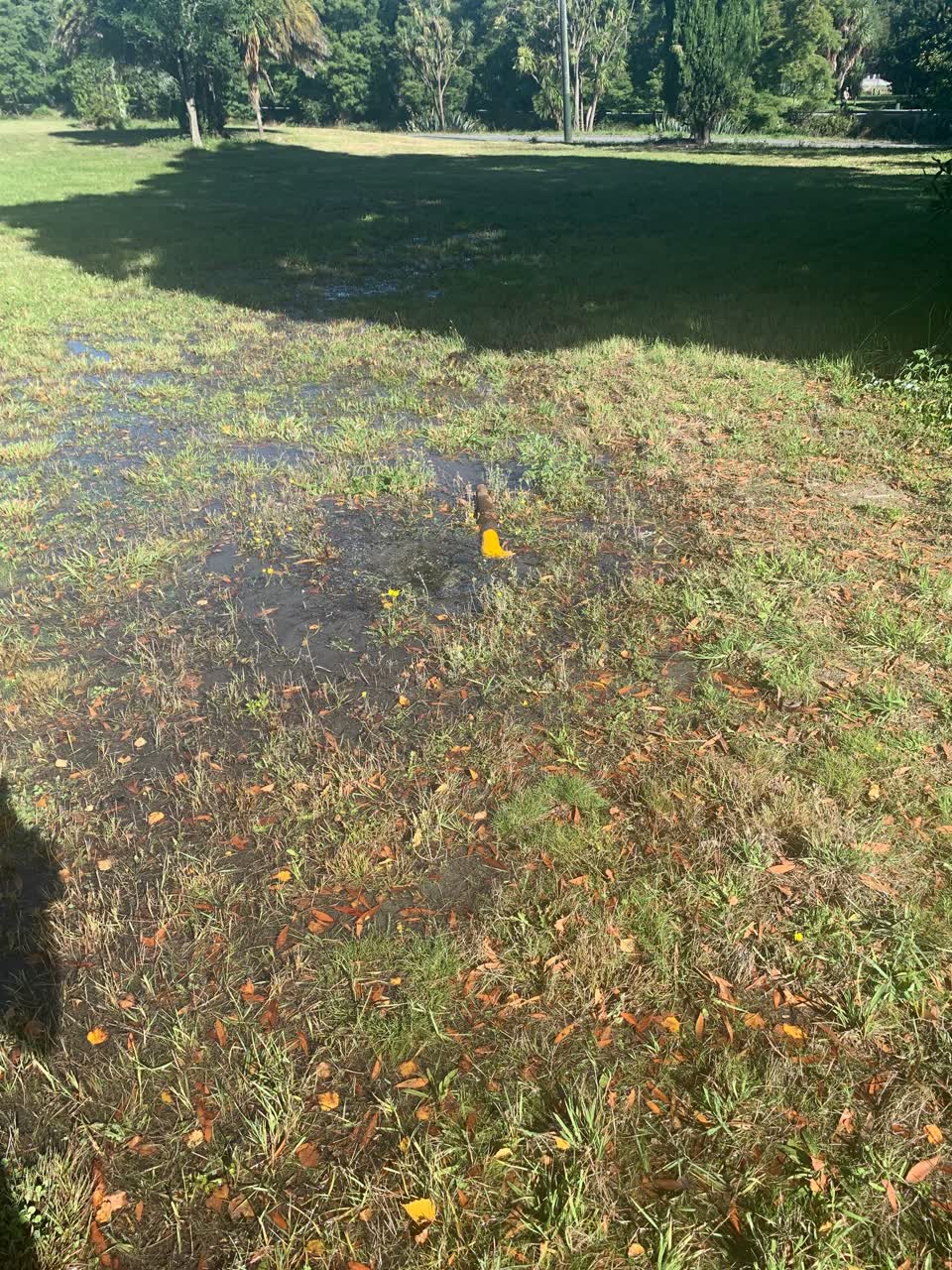 The photograph attached to this water leak report
