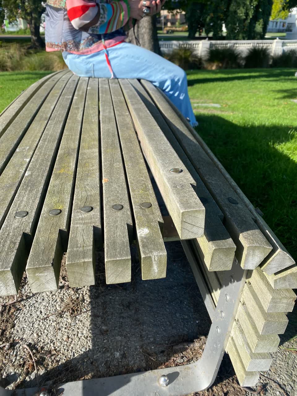The photograph attached to this parks report