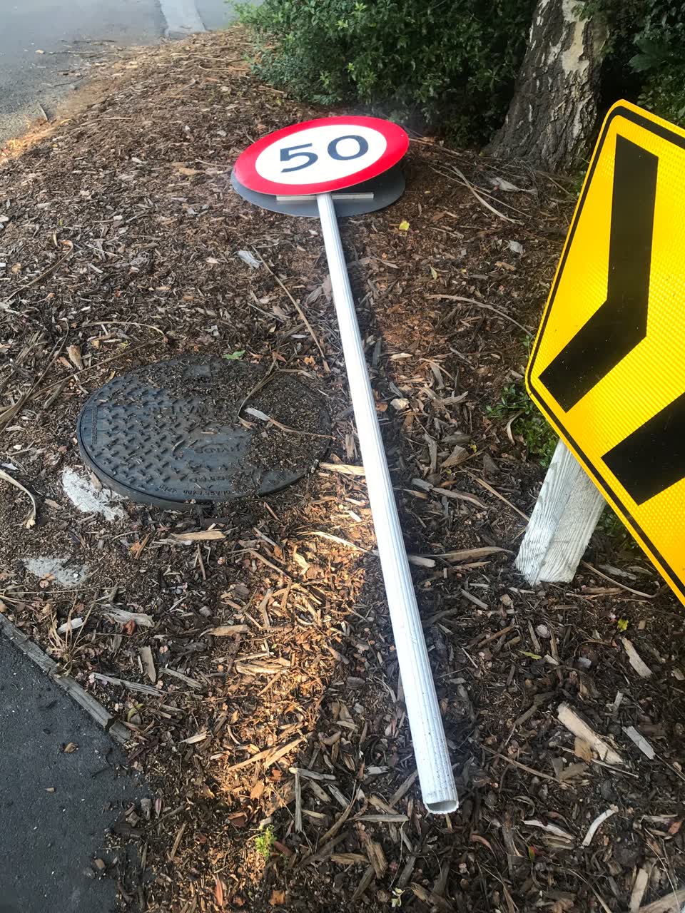 The photograph attached to this roading/streets report