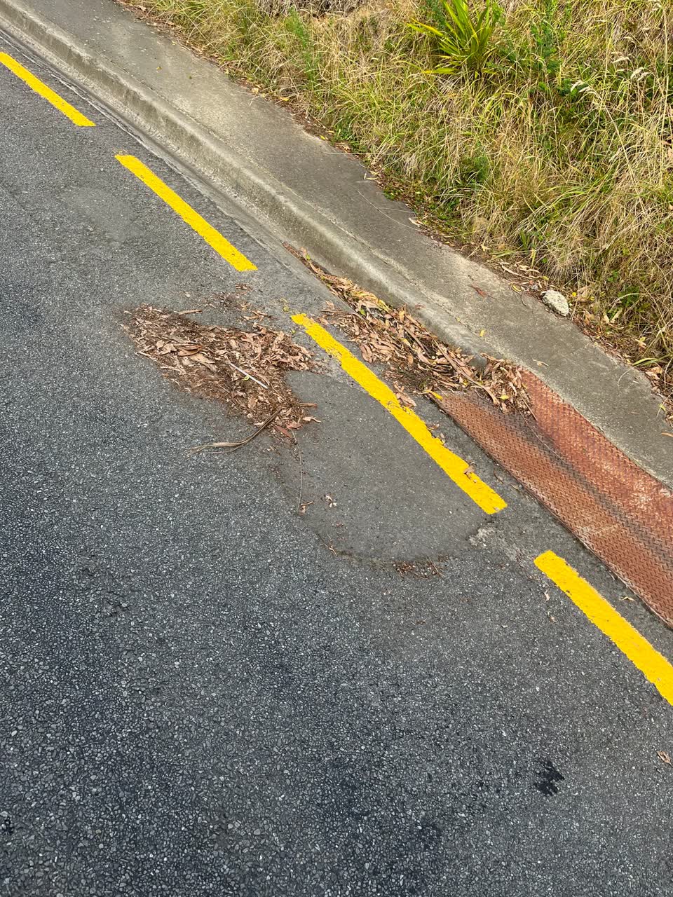 The photograph attached to this roading/streets report