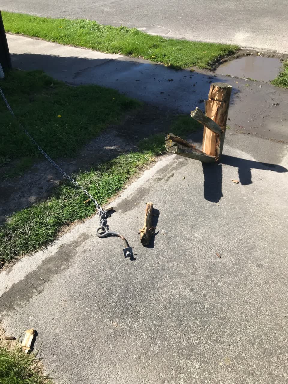 The photograph attached to this parks report