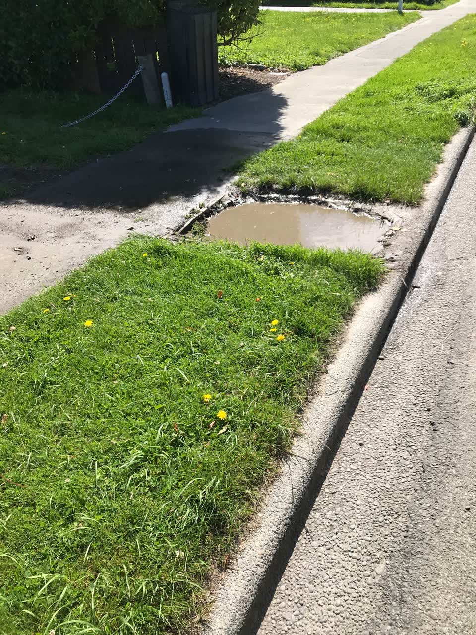 The photograph attached to this water leak report