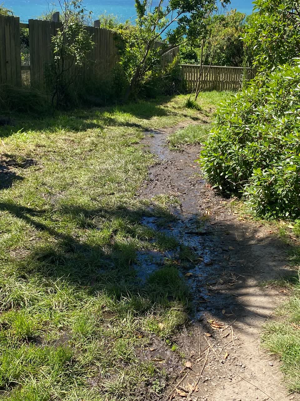 The photograph attached to this parks report