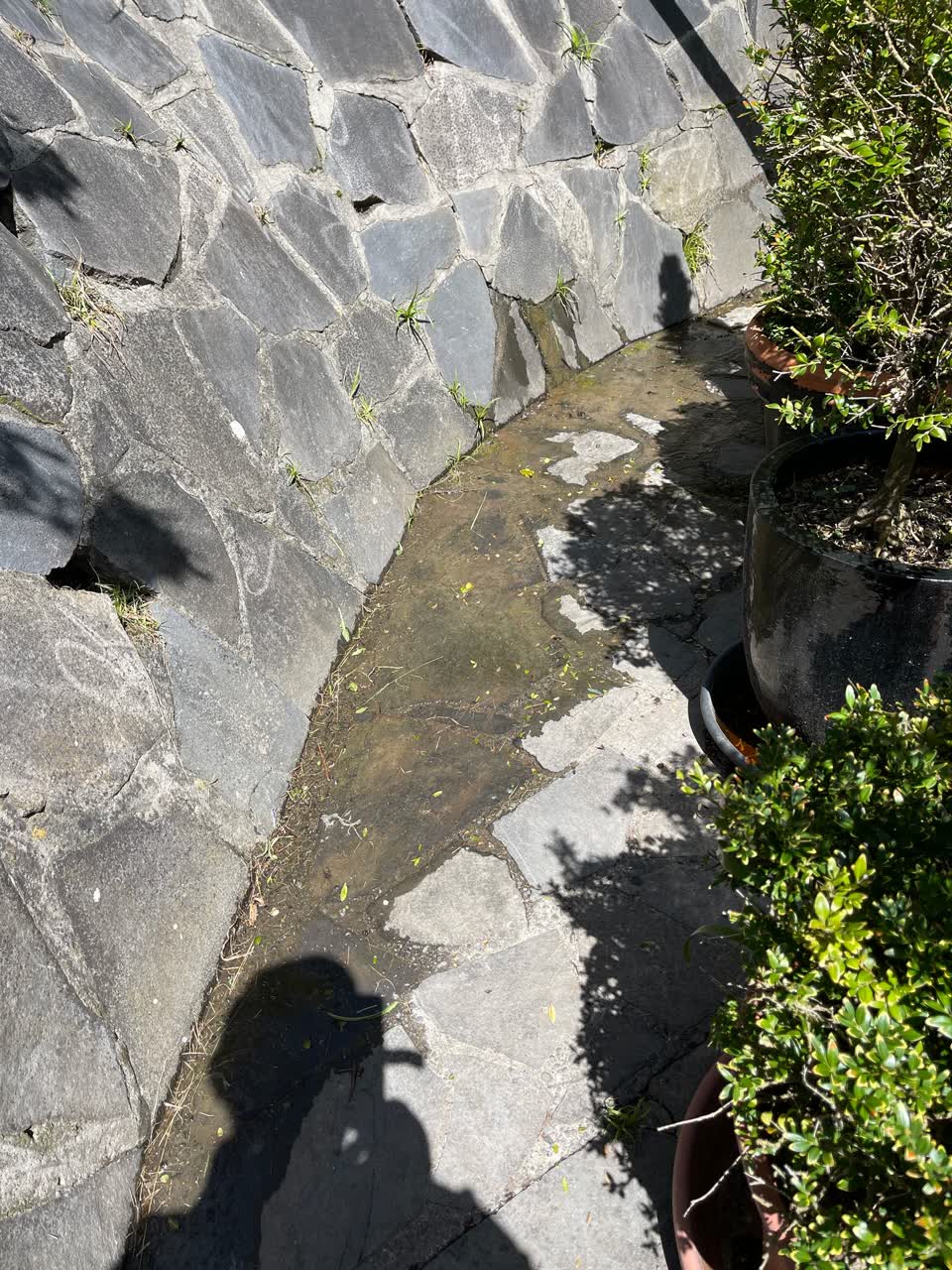 The photograph attached to this water leak report