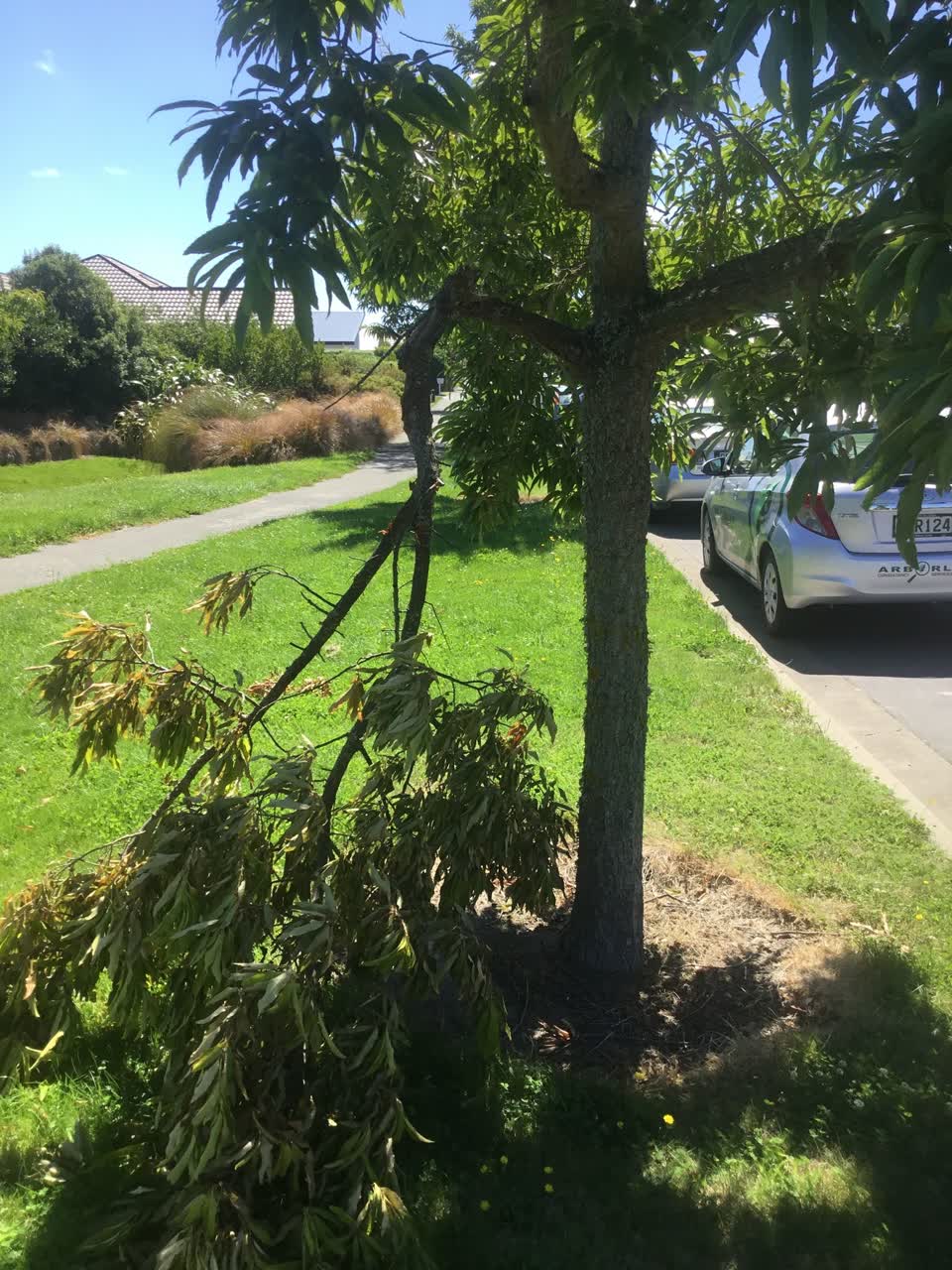 The photograph attached to this parks report