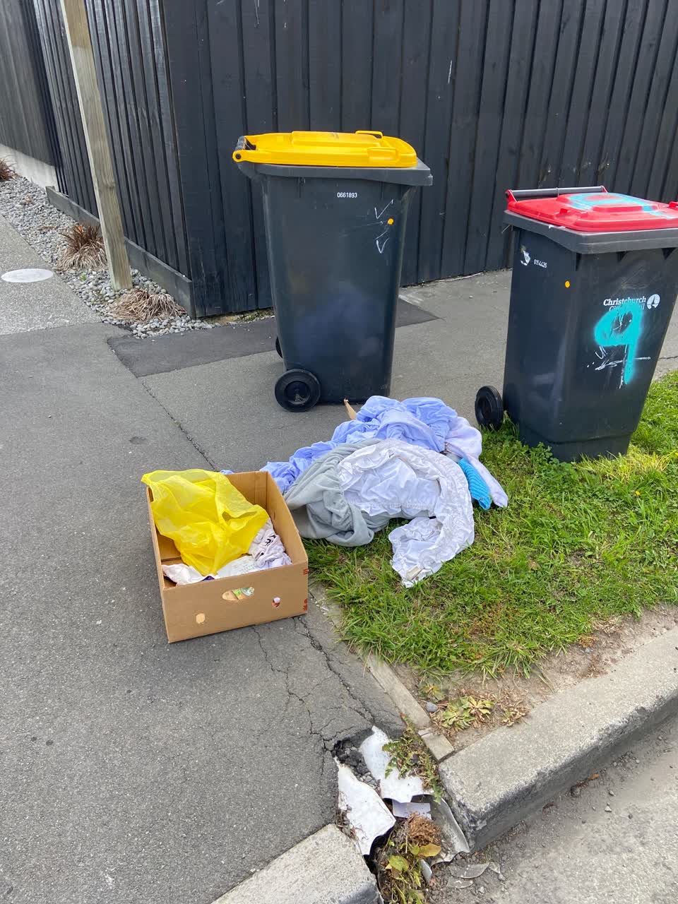 The photograph attached to this rubbish/recycling report