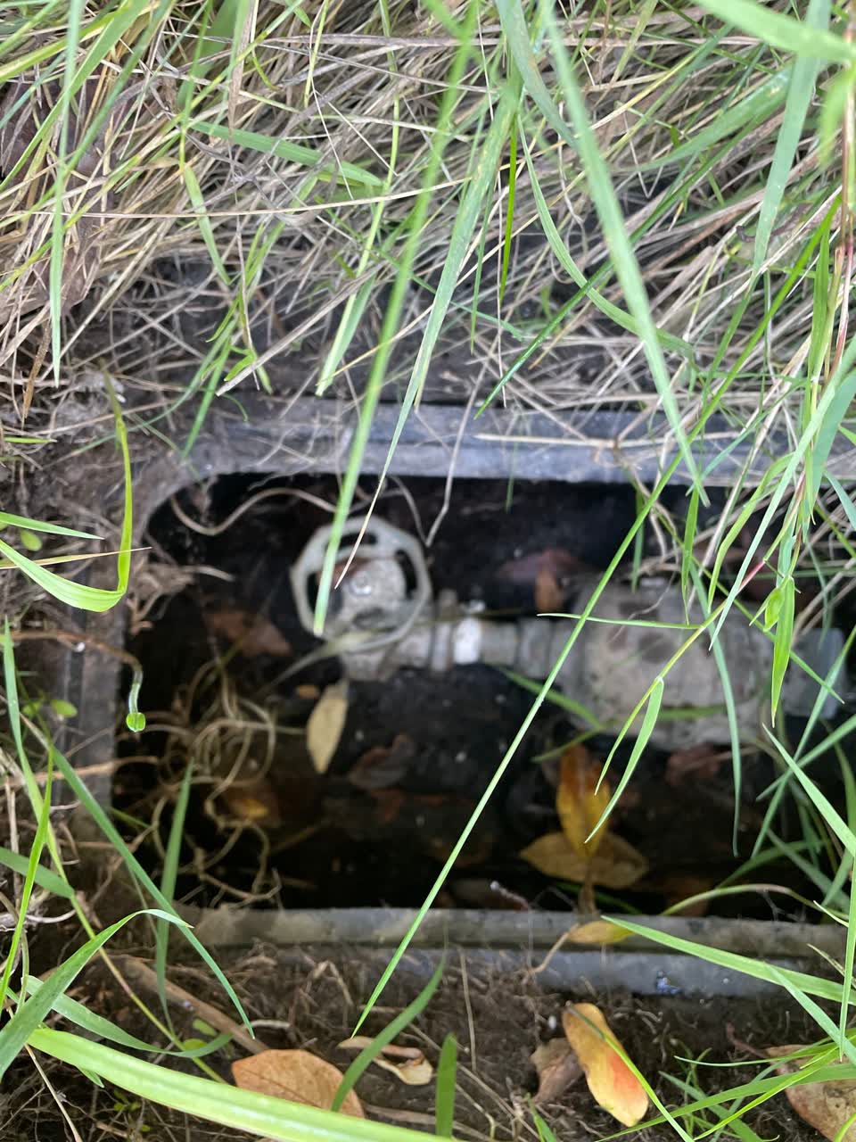 The photograph attached to this water supply report