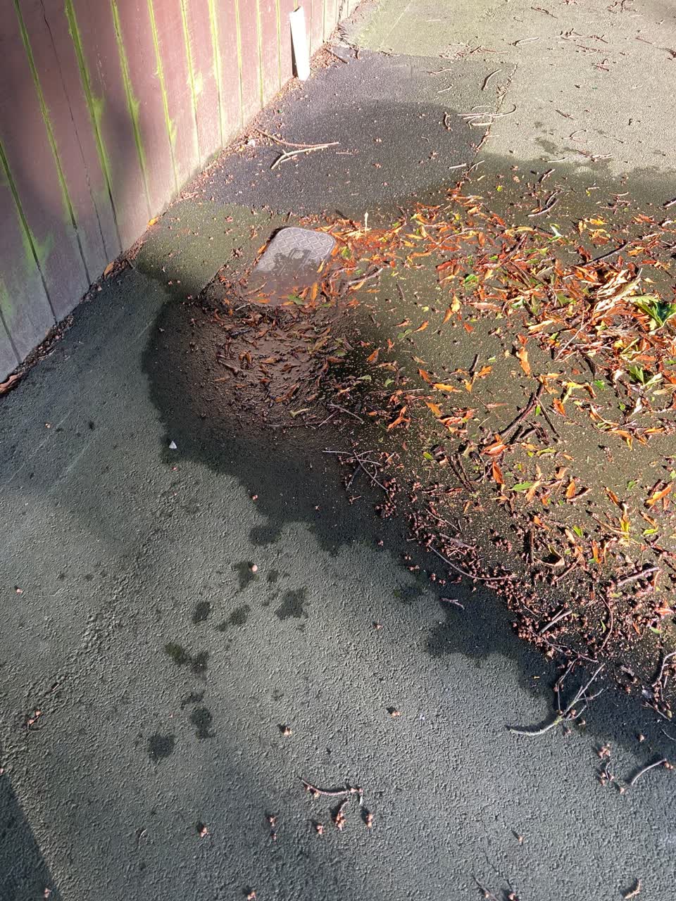 The photograph attached to this water supply report