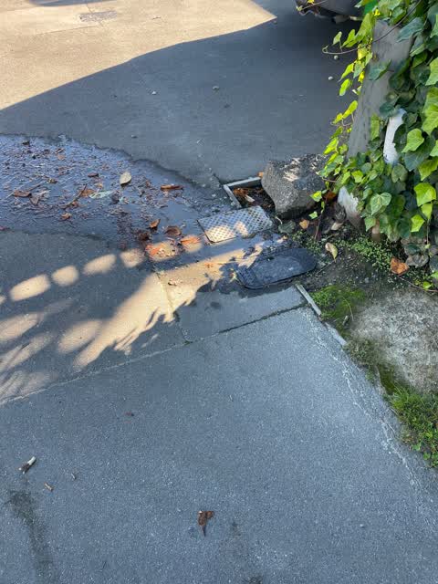 Water Leak, a report photo