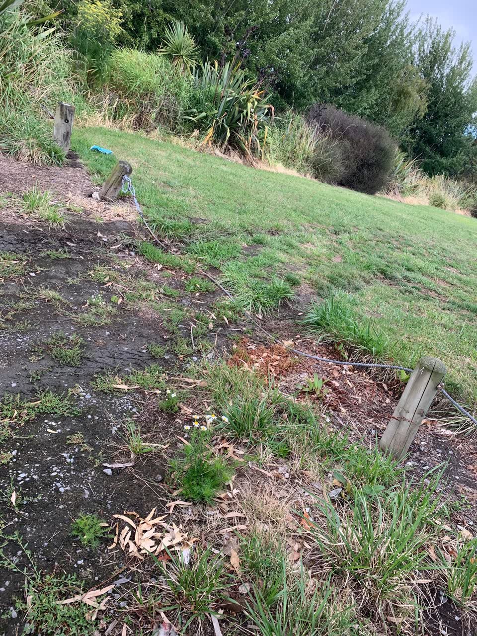 The photograph attached to this parks report