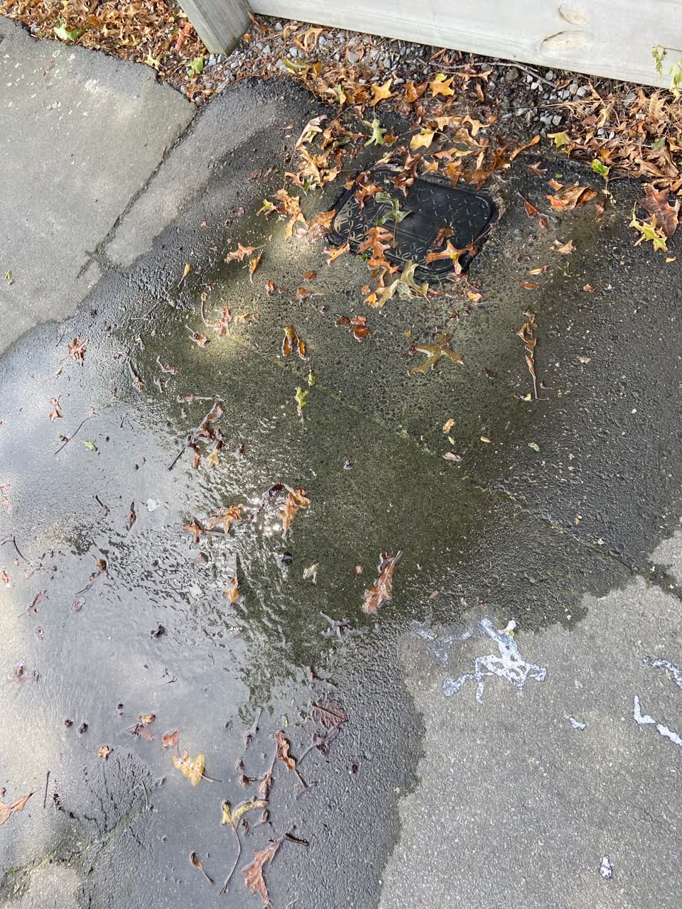 The photograph attached to this water leak report