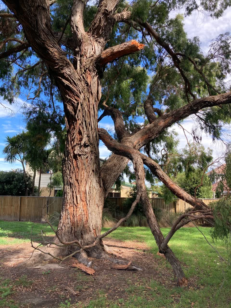 The photograph attached to this parks report