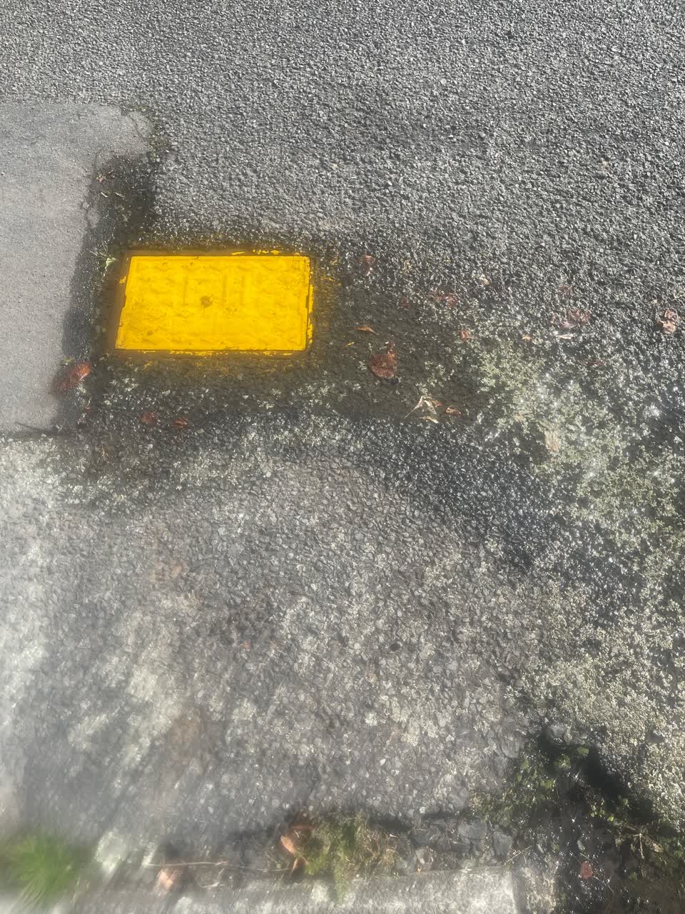 The photograph attached to this water leak report