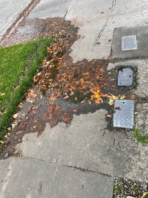 Water Leak, a report photo