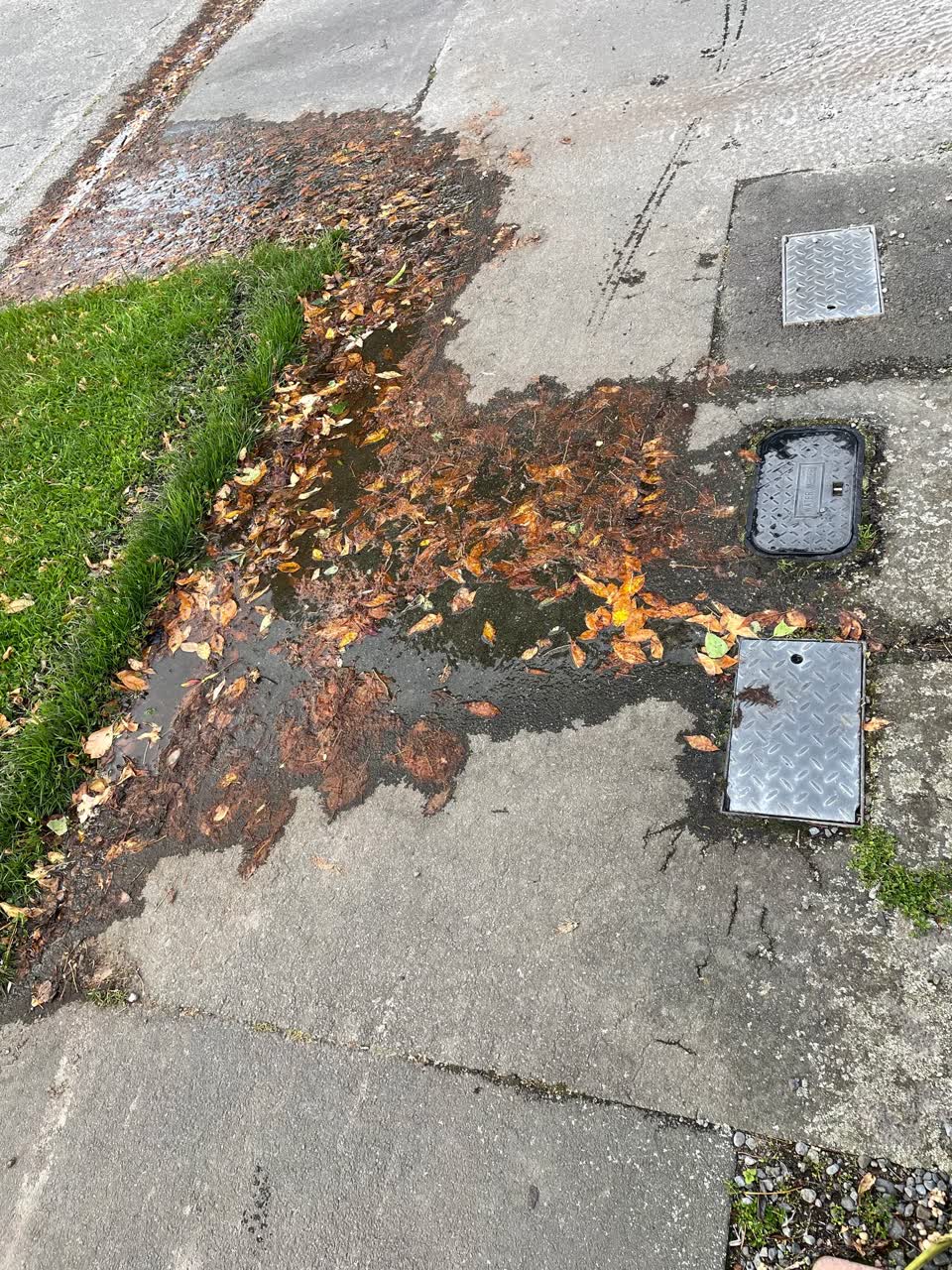 The photograph attached to this water leak report